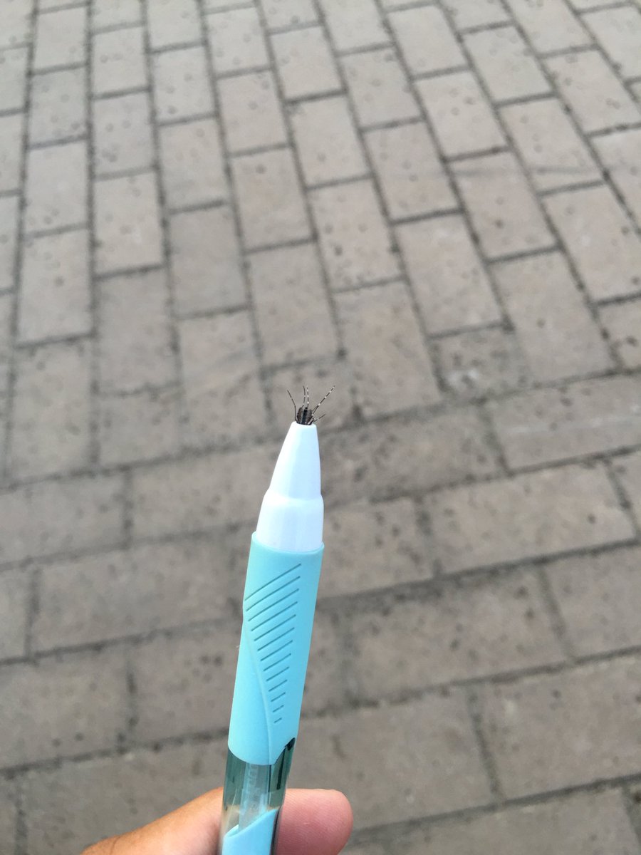 圖片來源：KomaMito／twitter