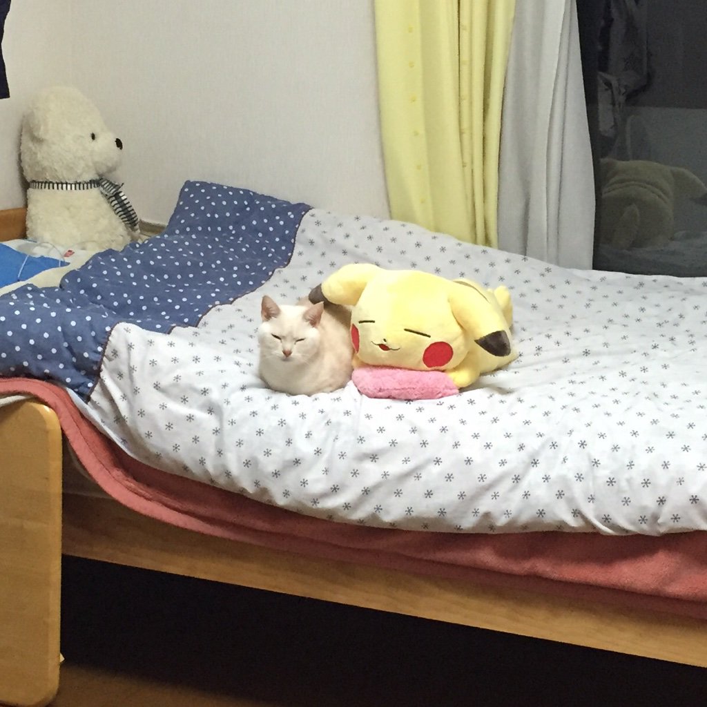 圖片來源:_Estrela_star/twitter