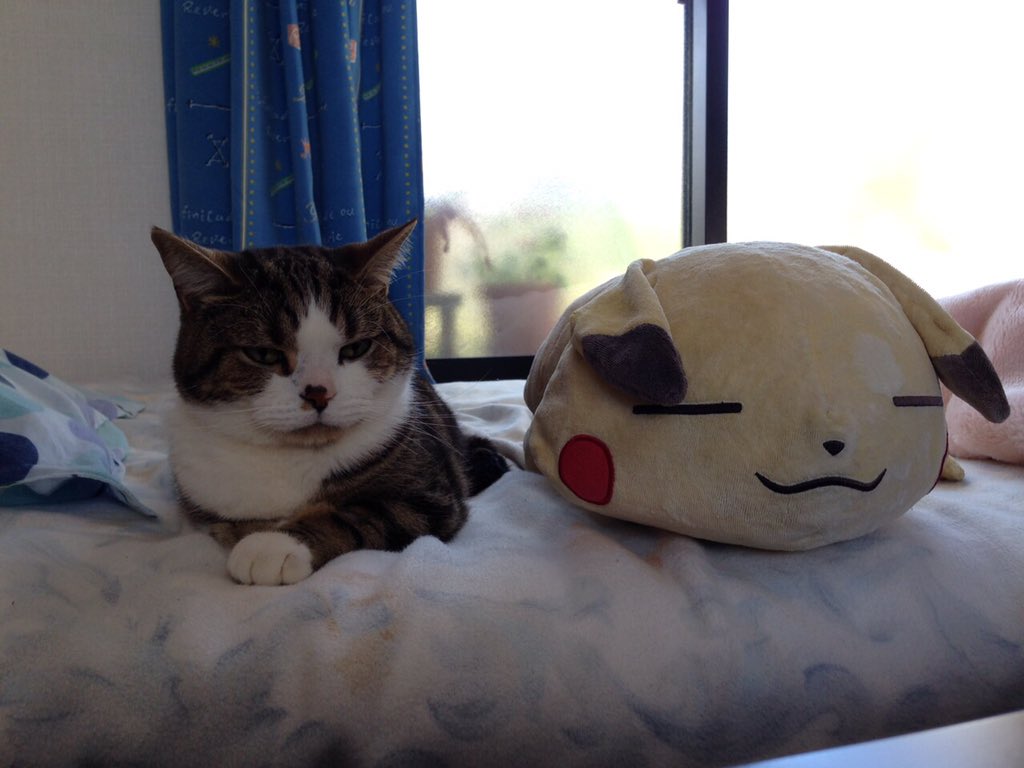 圖片來源:_Estrela_star/twitter