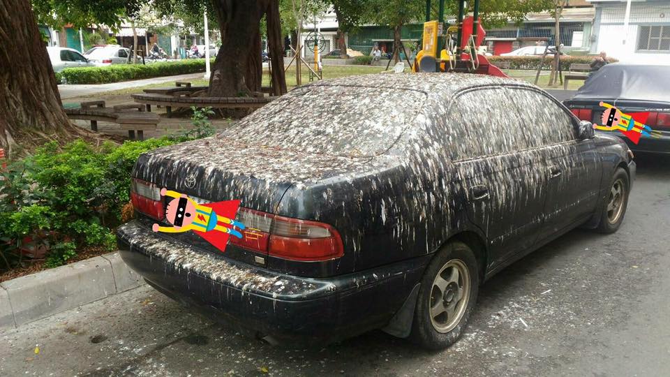 圖片來源：葉勝雄／爆料公社