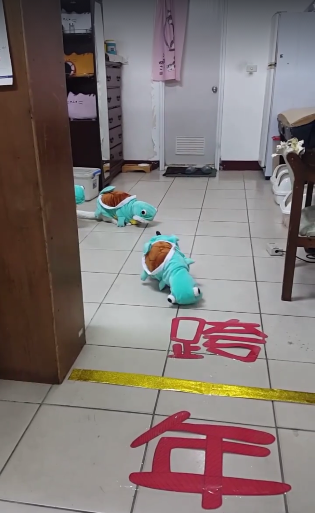 圖片來源:貓多多飯館 同意轉載