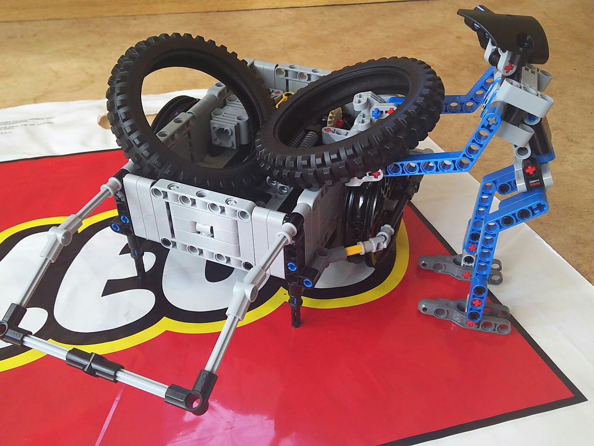 圖片來源：mignonnes／twitter