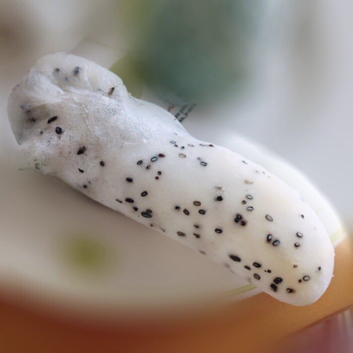 圖片來源： tama_is_tama／twitter