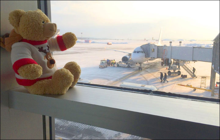 圖片來源:The Siberian Times