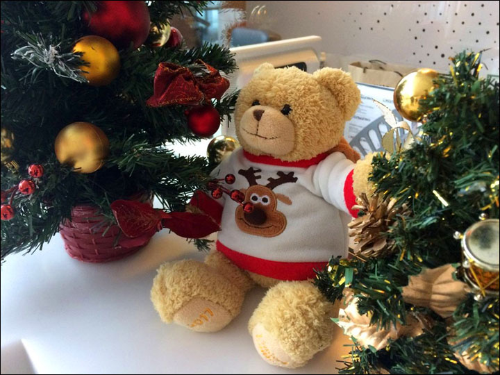 圖片來源:The Siberian Times