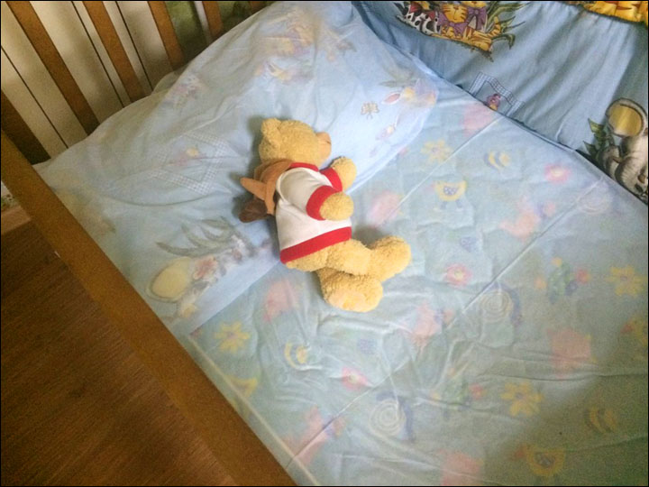 圖片來源:The Siberian Times