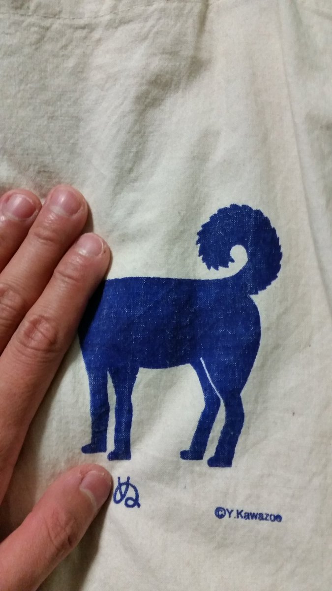 圖片來源:lionneko/twitter