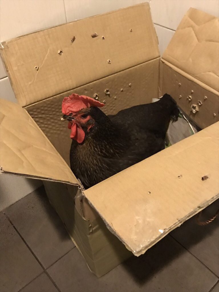 圖片來源：dcard