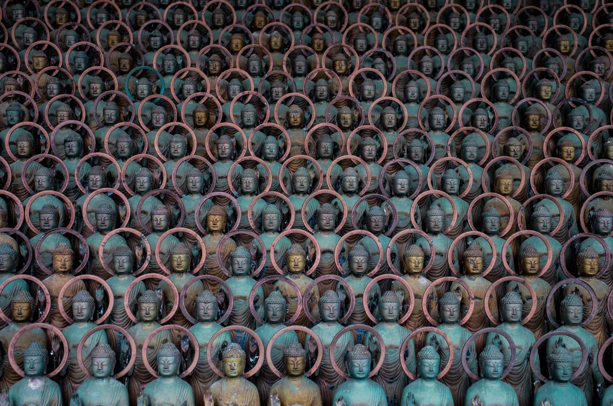 圖片來源： onaka_suitashi／twitter