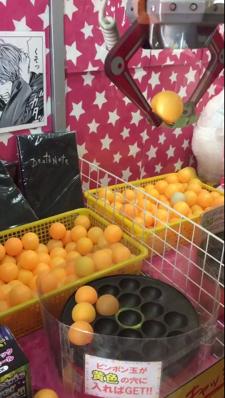 圖片來源：_F_L_3_5_／twitter