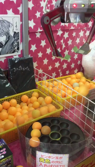 圖片來源：_F_L_3_5_／twitter