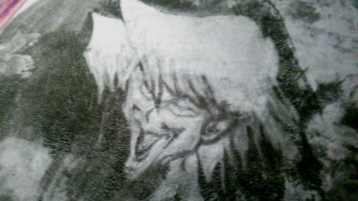 圖片來源:agito0219/twitter