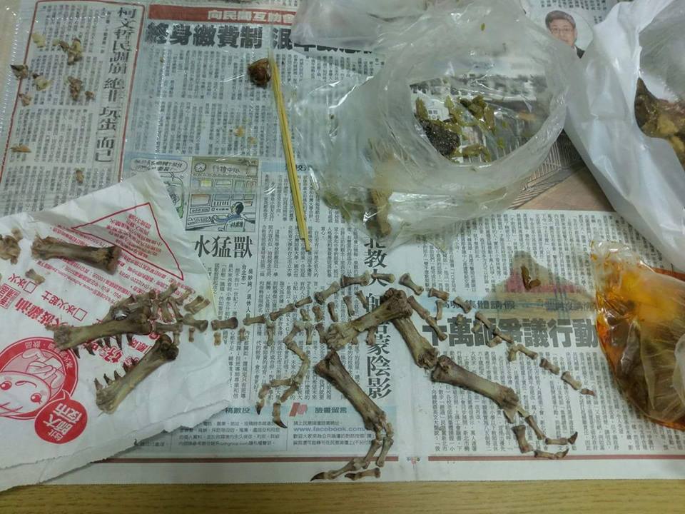 圖片來源:吳俊逸