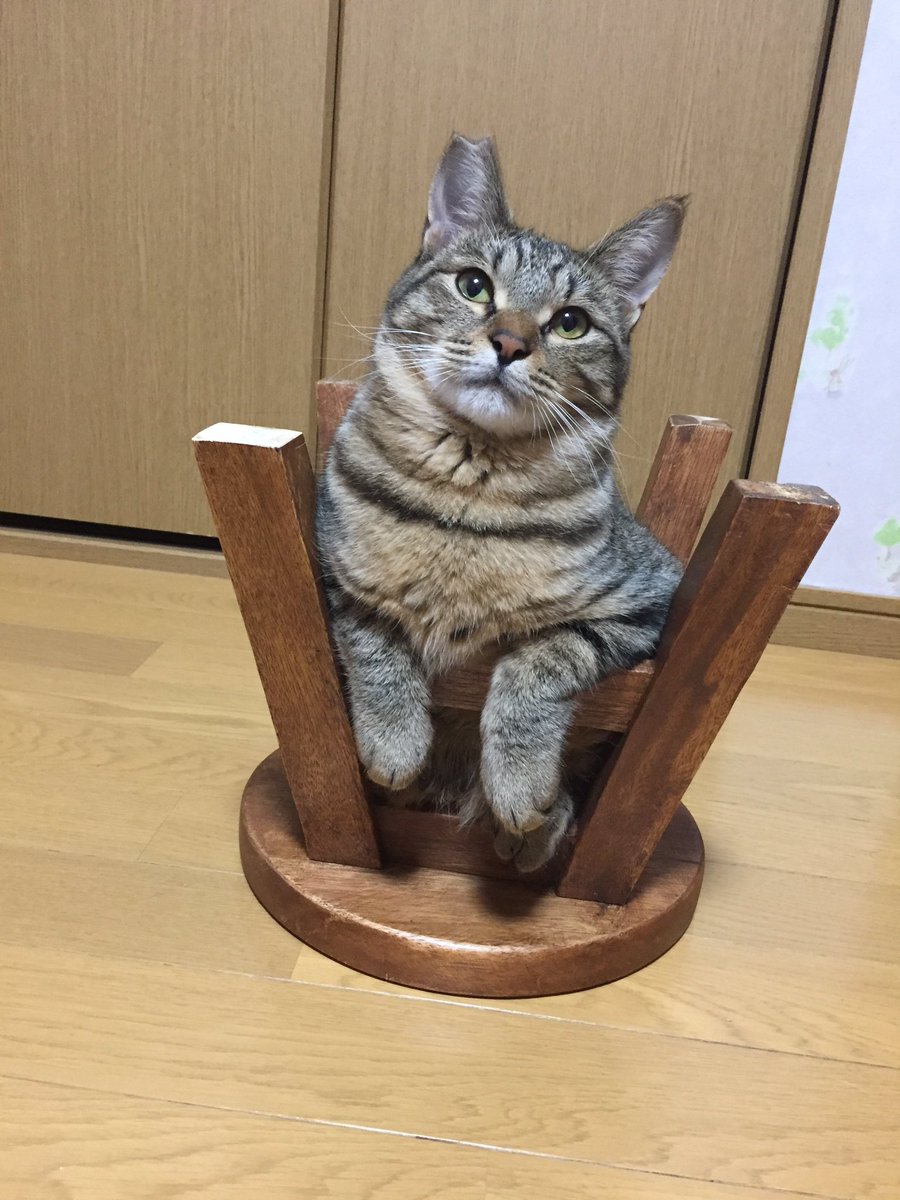 圖片來源：oken_ne／twitter