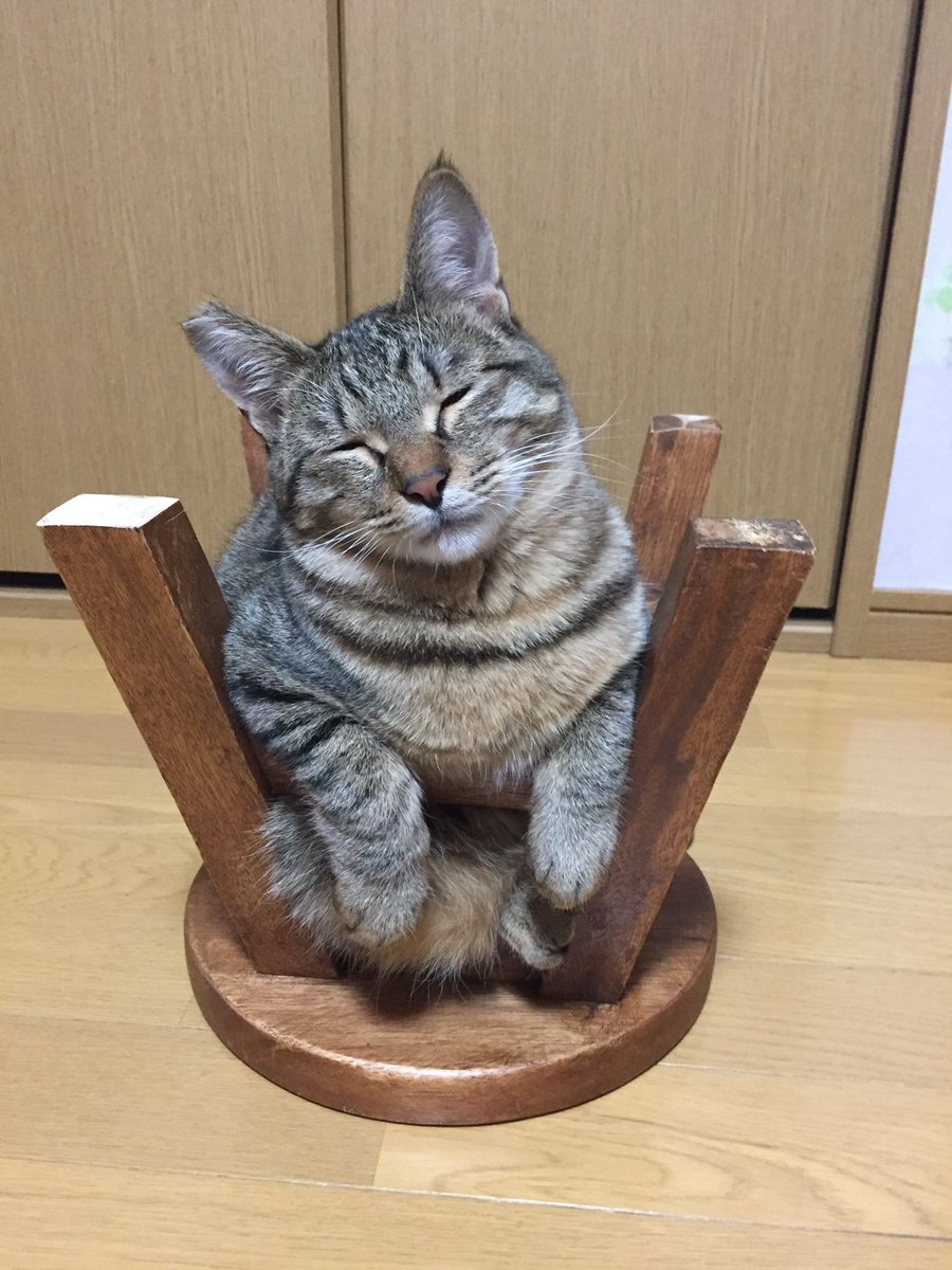 圖片來源：oken_ne／twitter