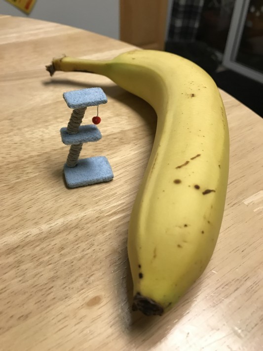 圖片來源: cewallace9/reddit