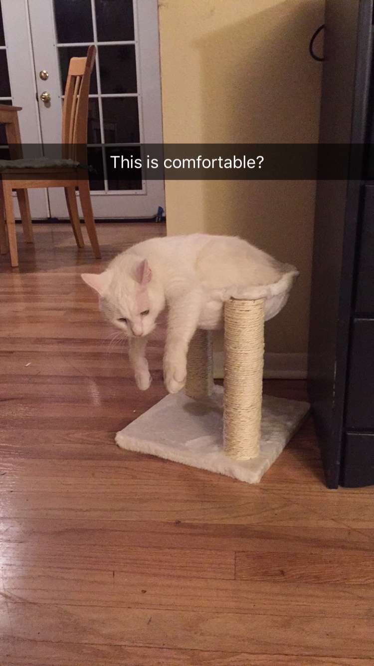 圖片來源: QueenofChances