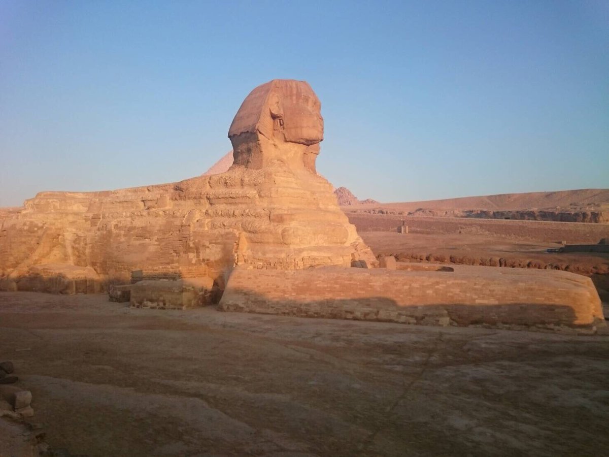 圖片來源:cha_maru/twitter