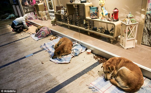 圖片來源：每日郵報