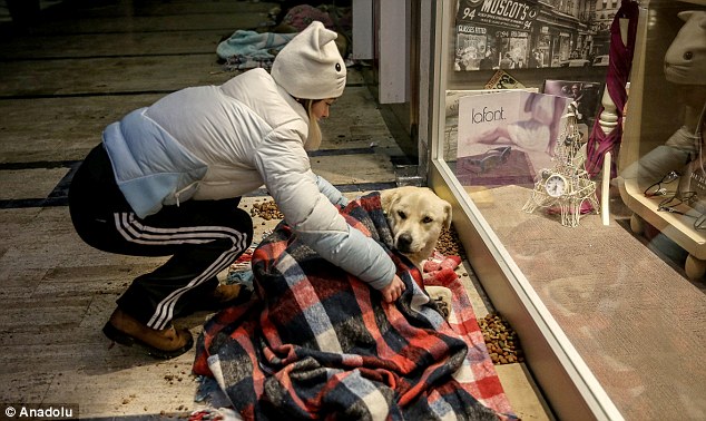 圖片來源：每日郵報