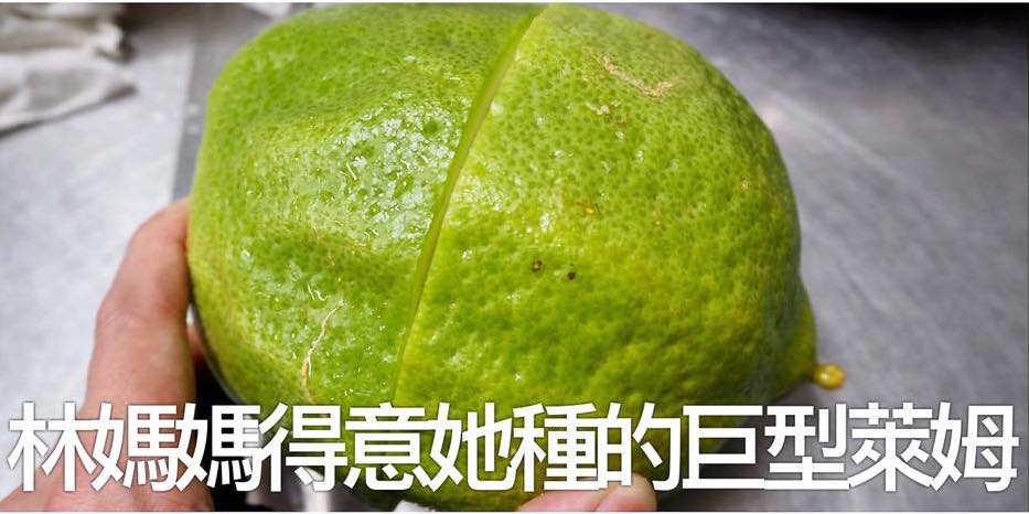 圖片來源:連環泡有芒果/Facebook