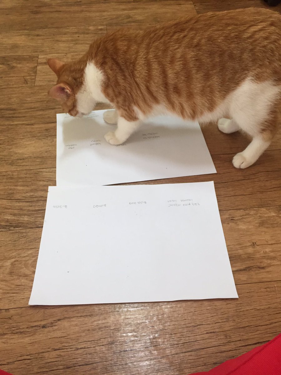 圖片來源：weS2mayo／twitter