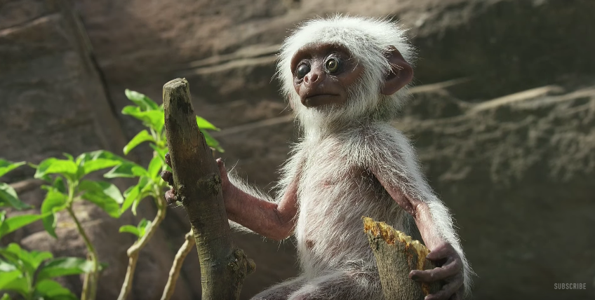 圖片來源:BBC/Youtube