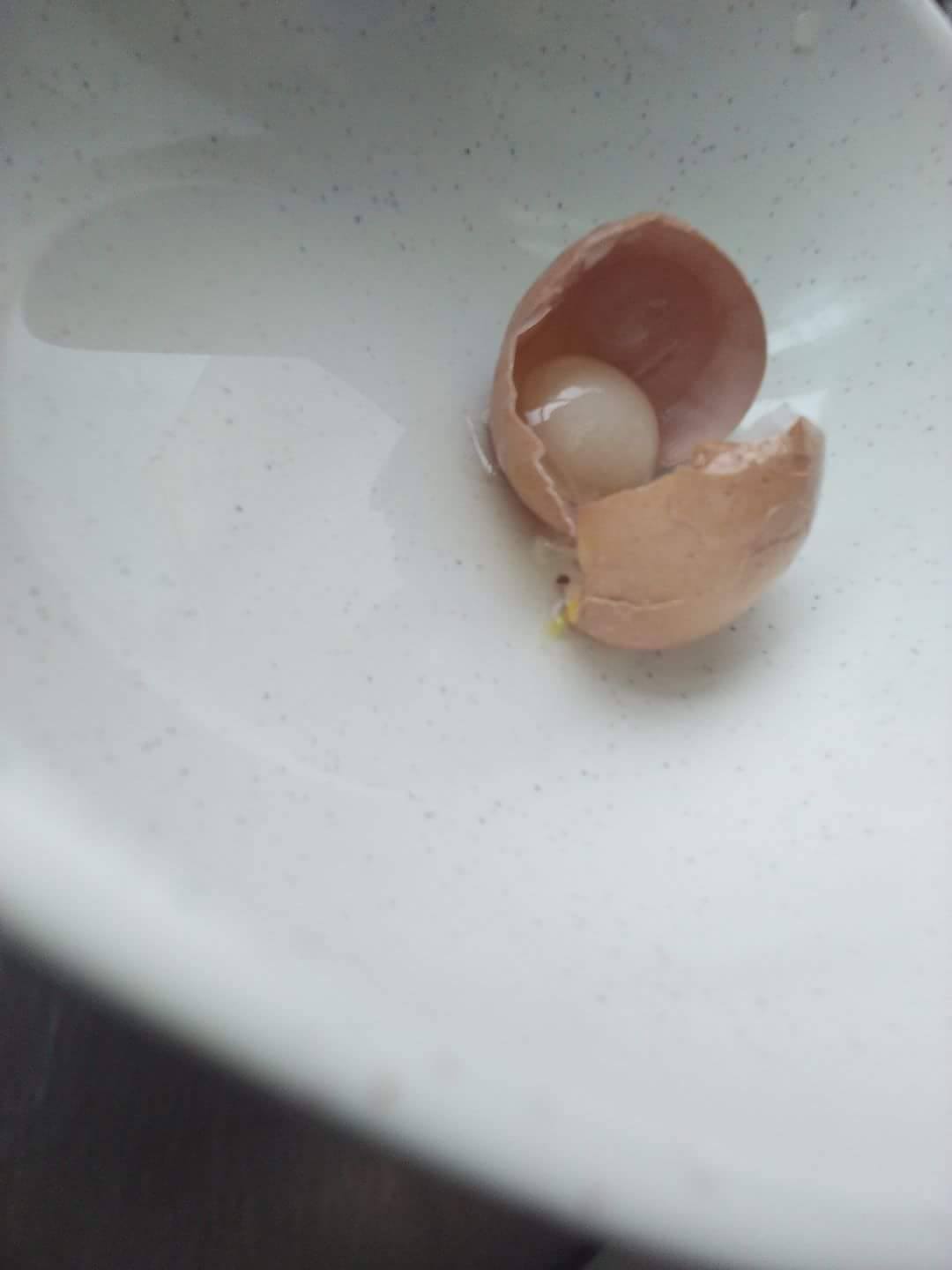 圖片來源:周俊斌/爆笑公社