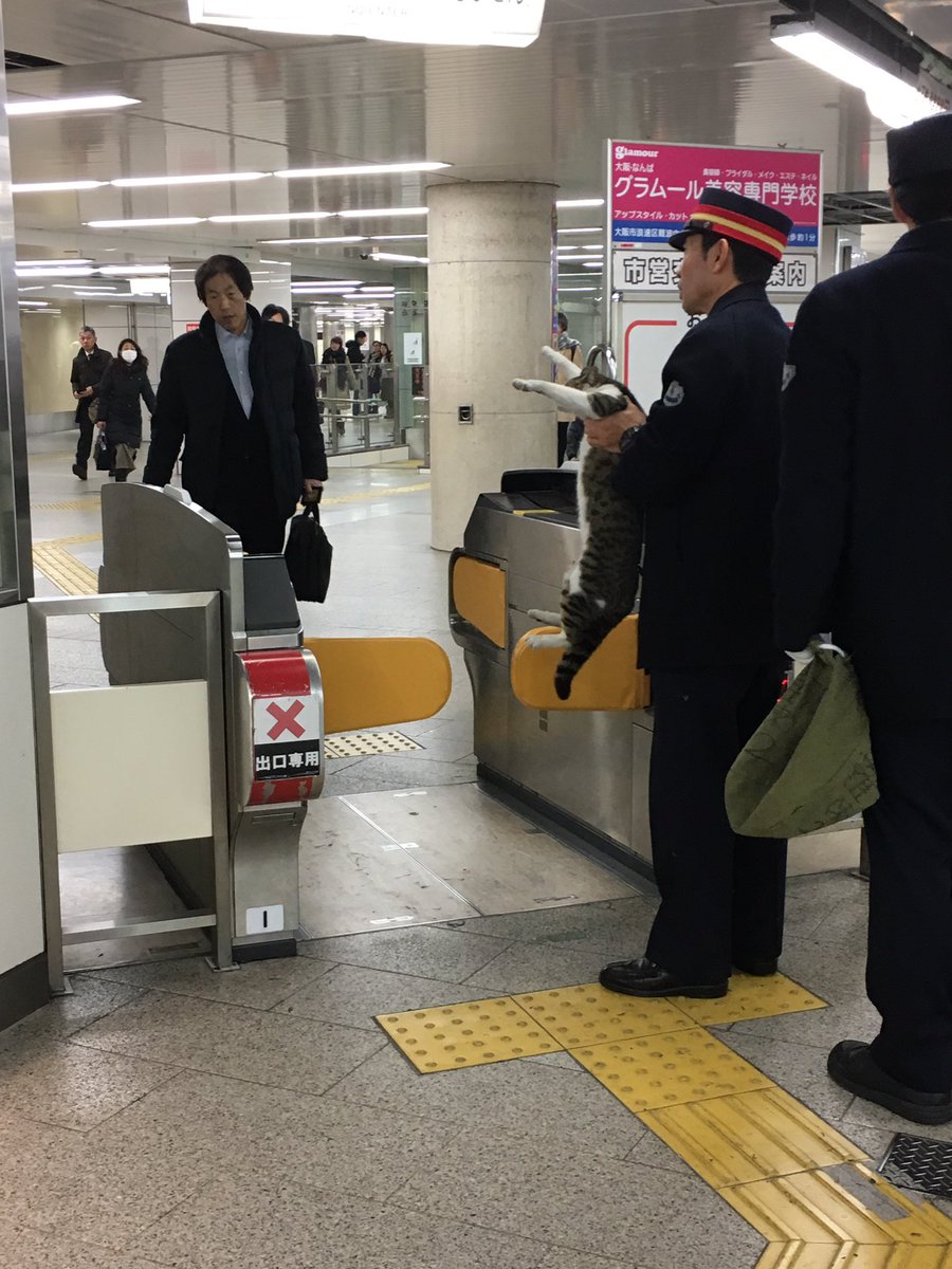 圖片來源：kanon_yr／twitter