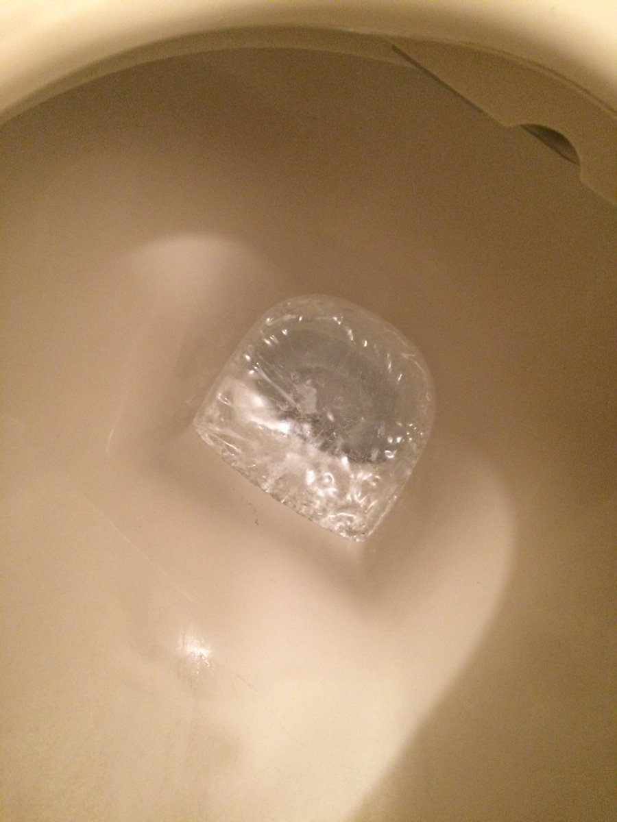 圖片來源：kuma_saaaaan／twitter