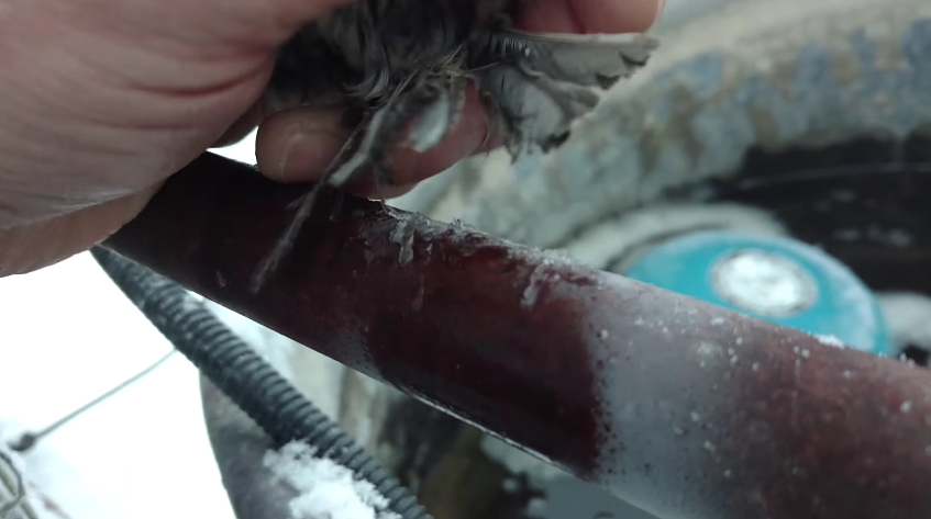 圖片來源： Nelson Wilson／YouTube