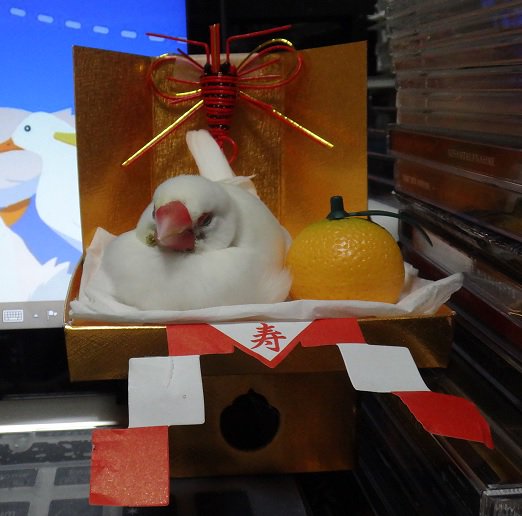 圖片來源：hana_murya​／twitter