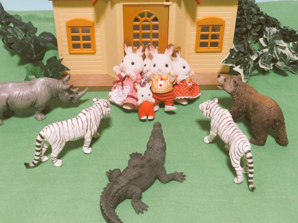 圖片來源：kasekihamaguri／twitter