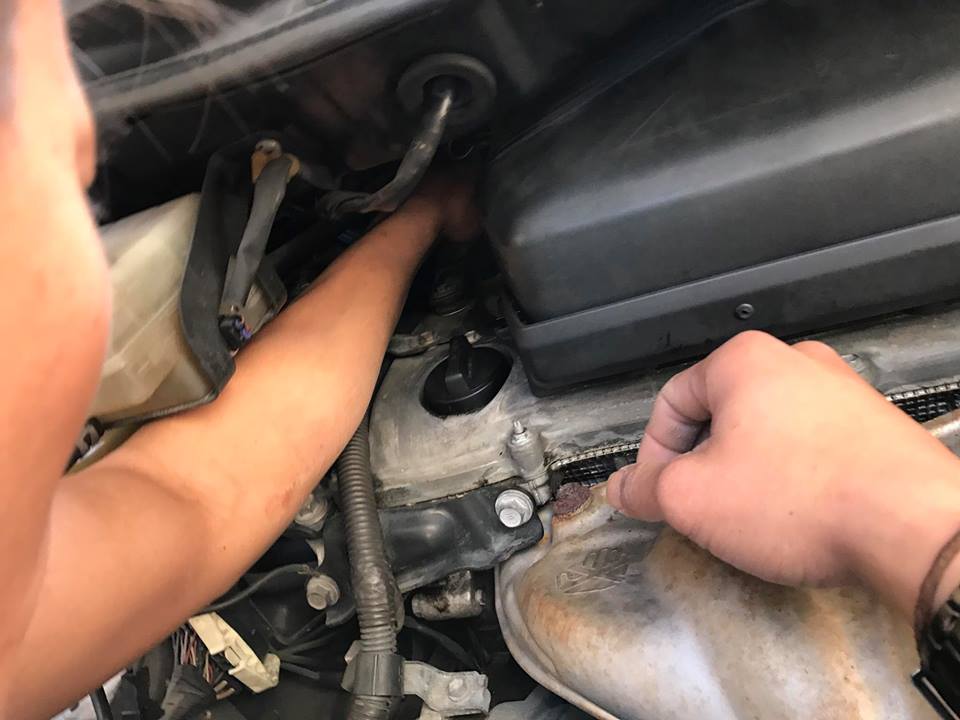 圖片來源: Yin Chong