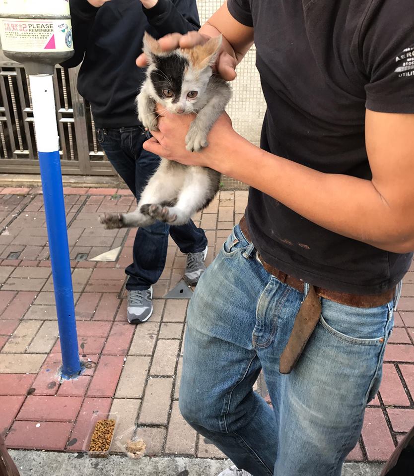 圖片來源: Yin Chong