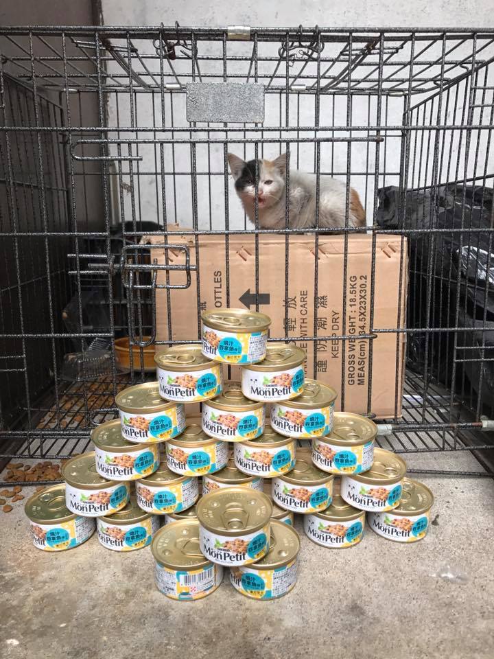 圖片來源: Yin Chong