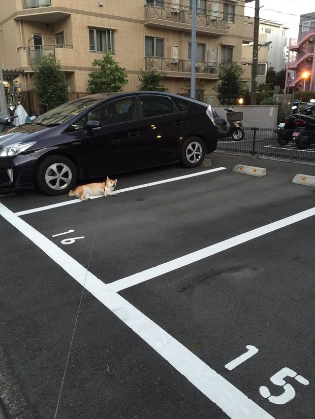 圖片來源：always_with_yu／instagram