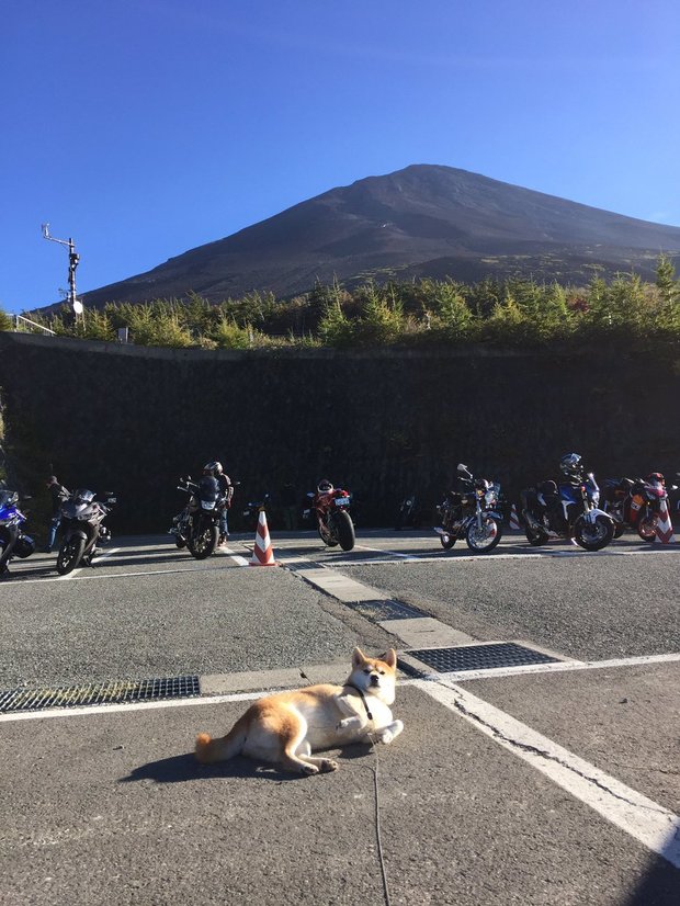 圖片來源：always_with_yu／instagram