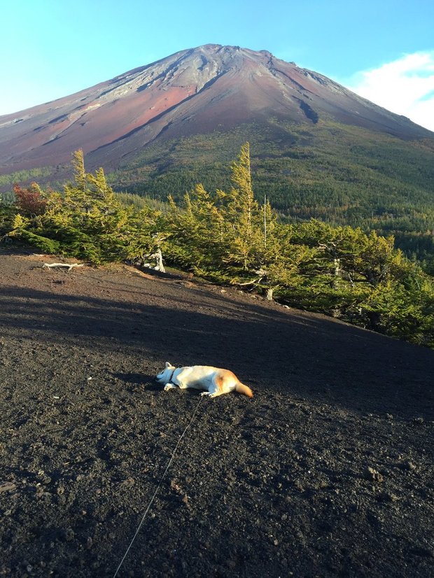 圖片來源：always_with_yu／instagram