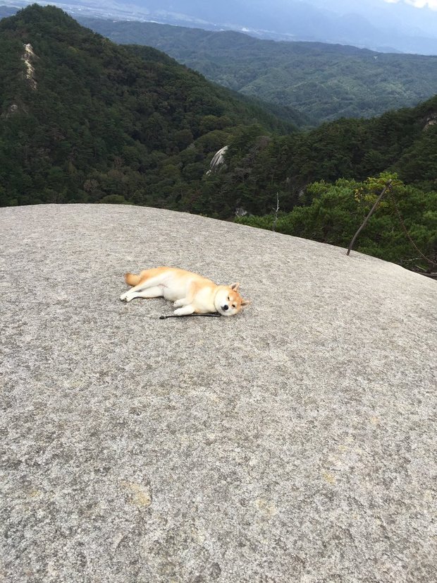 圖片來源：always_with_yu／instagram