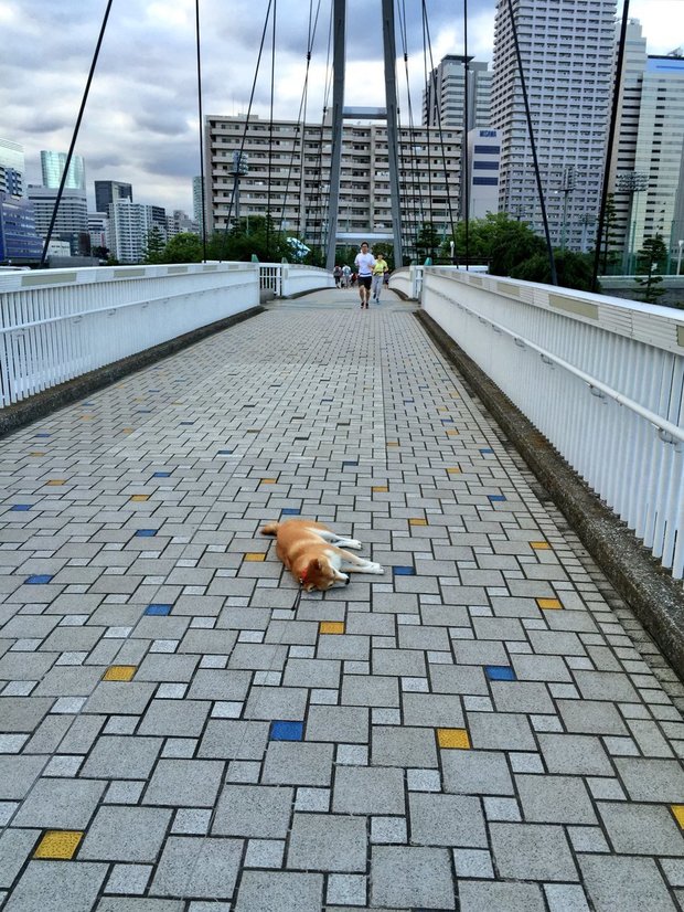 圖片來源：always_with_yu／instagram