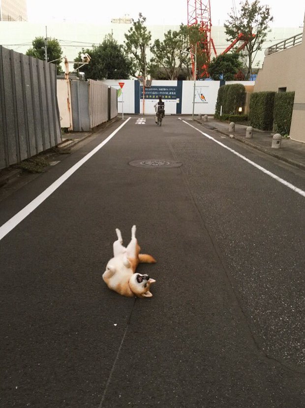 圖片來源：always_with_yu／instagram