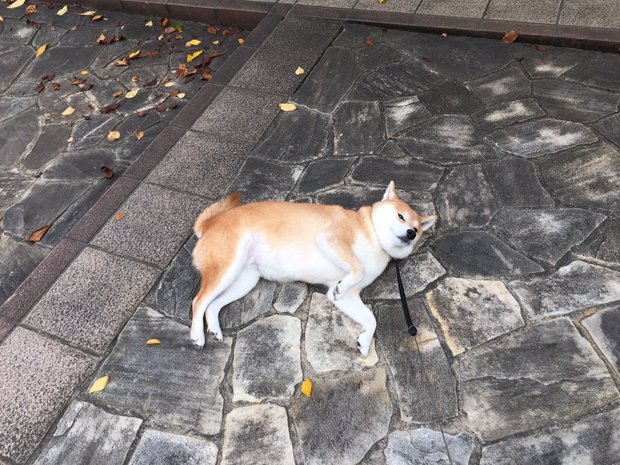 圖片來源：always_with_yu／instagram