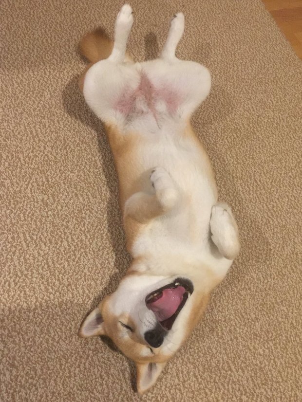 圖片來源：always_with_yu／instagram