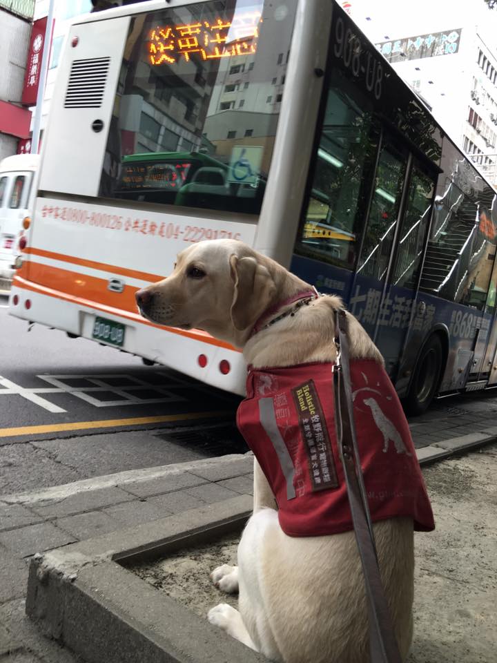 ​圖片來源：當Betty遇見Bagel