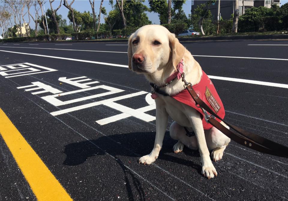 ​圖片來源：當Betty遇見Bagel