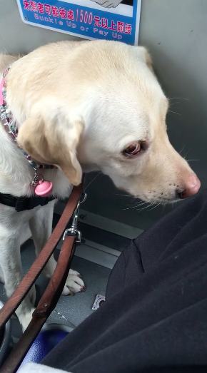 ​圖片來源：當Betty遇見Bagel