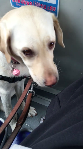 ​圖片來源：當Betty遇見Bagel