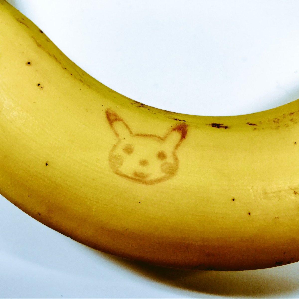 圖片來源： KotaroYasuda／twitter