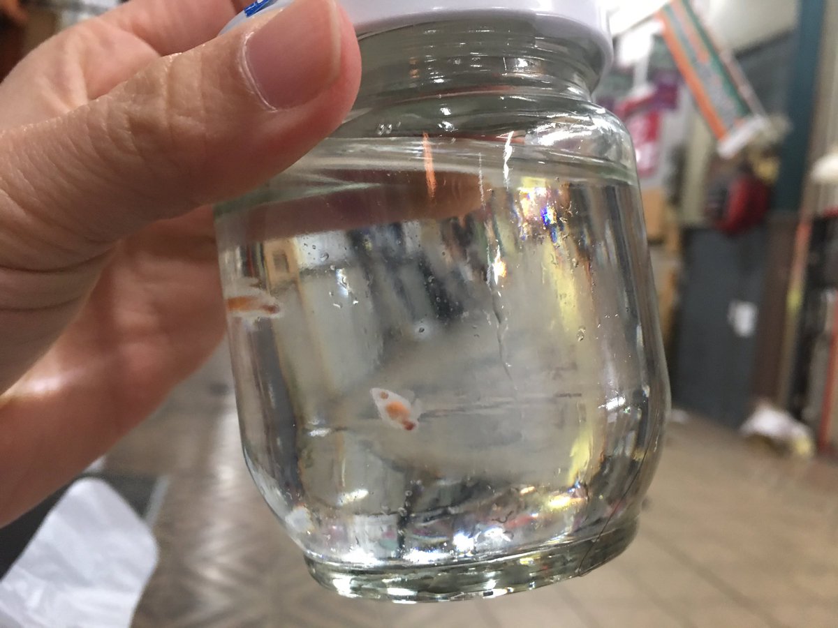 圖片來源:zou_da_zou/twitter